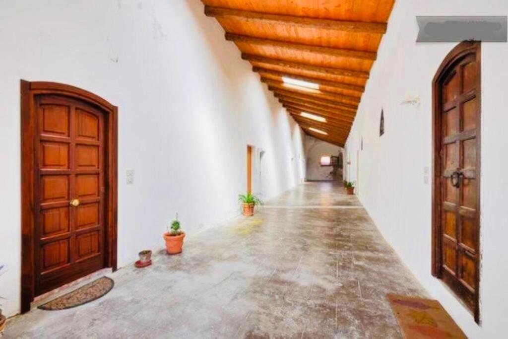 Wonderful Apartment In Old 알게로 외부 사진